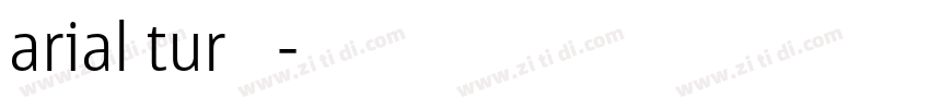 arial tur 粗体字体转换